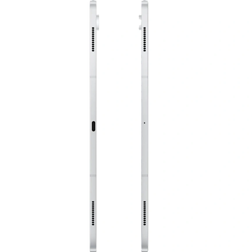 Планшет Samsung Galaxy Tab S10 Ultra LTE 12/256GB Platinum Silver (SM-X926B) фото 2