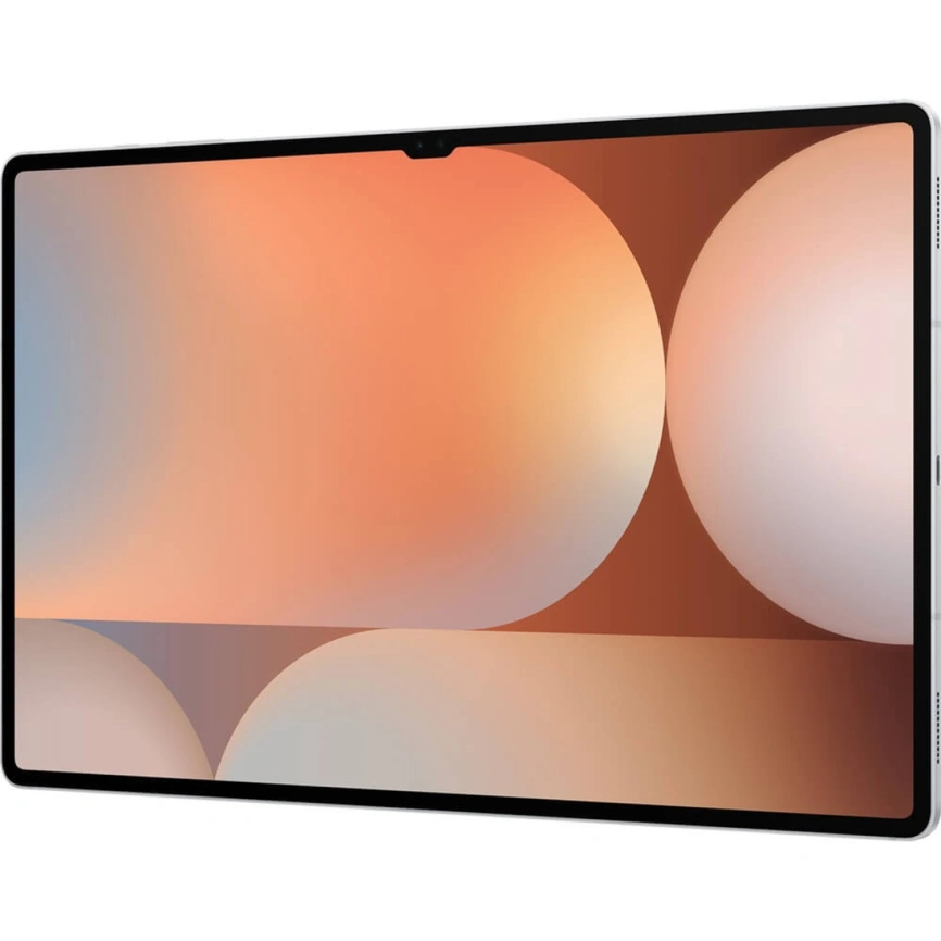 Планшет Samsung Galaxy Tab S10 Ultra LTE 12/256GB Platinum Silver (SM-X926B) фото 6
