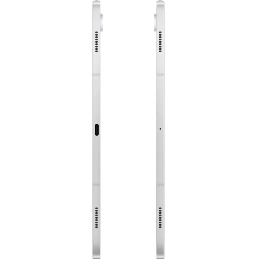 Планшет Samsung Galaxy Tab S10 Plus LTE 12/512GB Platinum Silver (SM-X826B) фото 2